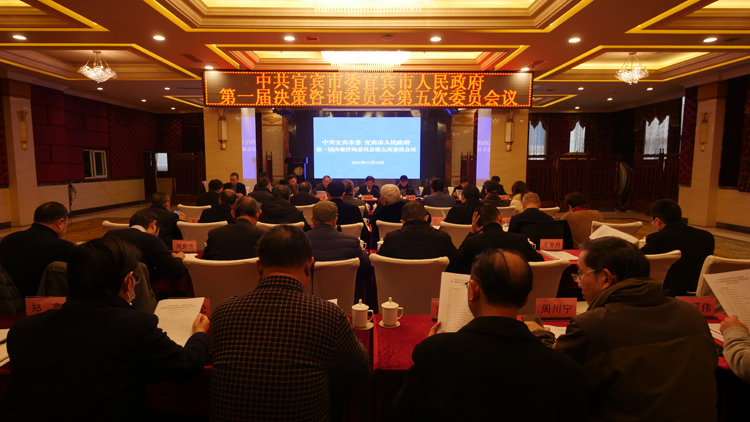 建言资政 助推宜宾高质量发展.jpg 建言资政 助推宜宾高质量发展.jpg