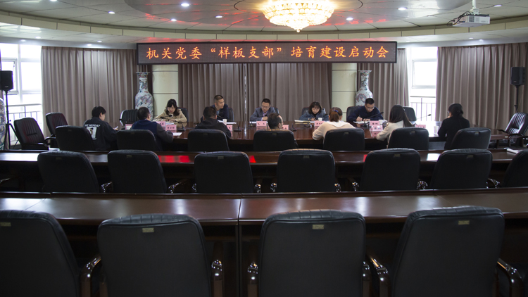 机关党委召开“样板支部”培育建设启动会图片.jpg