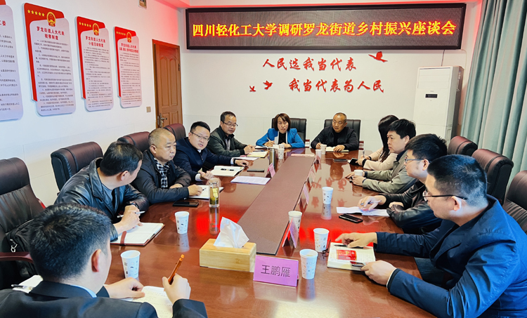调研乡村振兴座谈会.jpg