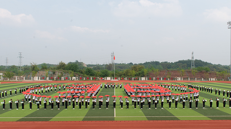 DSC_3781.jpg DSC_3781.jpg