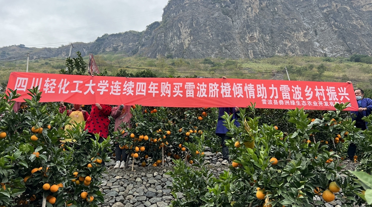 雷波1.jpg 雷波1.jpg