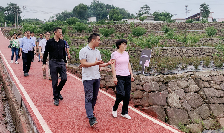 龚书记考察京坪村“玫鳞花溪”基地建设现场4.jpg 龚书记考察京坪村“玫鳞花溪”基地建设现场4.jpg