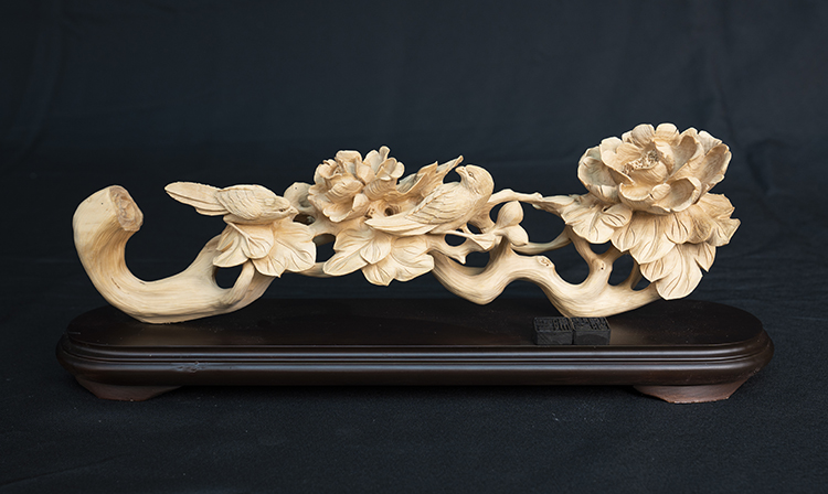 DSC00339.jpg DSC00339.jpg