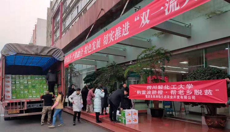 雷波脐橙1.jpg
